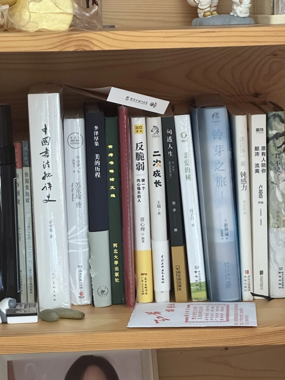 李冰瑶房间干枯的小树苗。本文图片均为 受访者供图